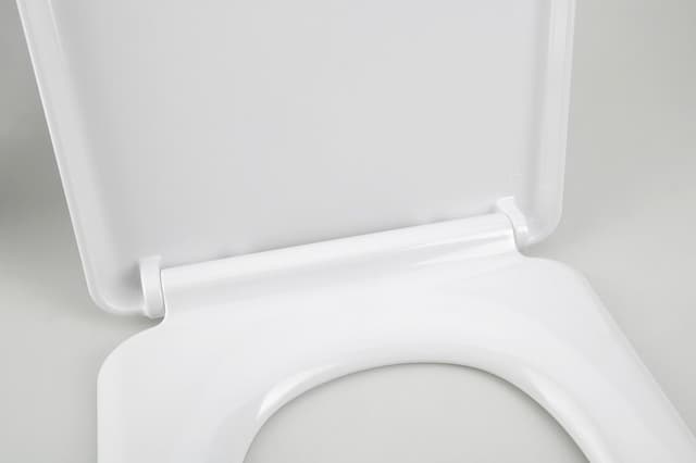 LENA deska WC Soft Close, Easy Take, antybakteryjna, biały