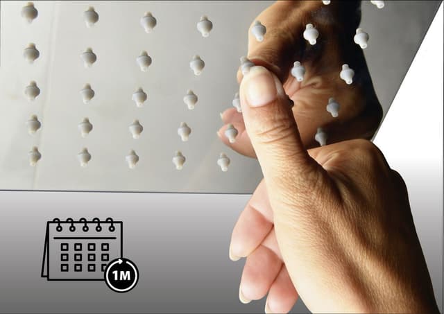 Słuchawka prysznicowa o obłym kształcie, 225mm, z funkcją AntiCalc, materiał ABS/chrom