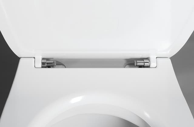 SENTIMENTI SLIM Deska WC z Soft Close, Easy Take, biały