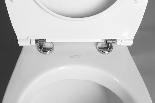 SENTIMENTI SLIM Deska WC z Soft Close, Easy Take, biały