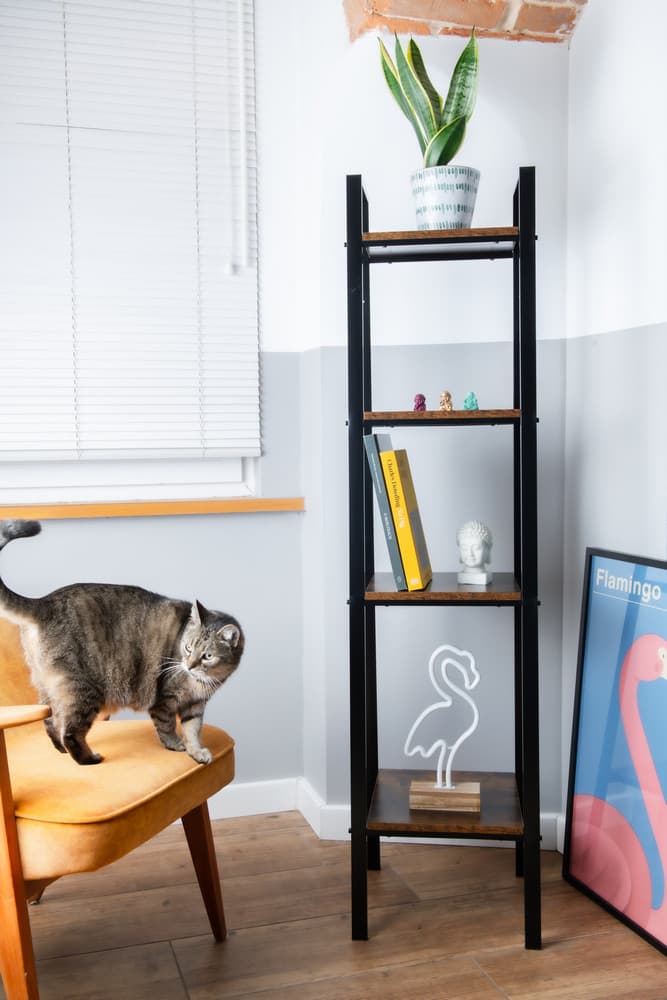 REGAŁ S - AWD Interior