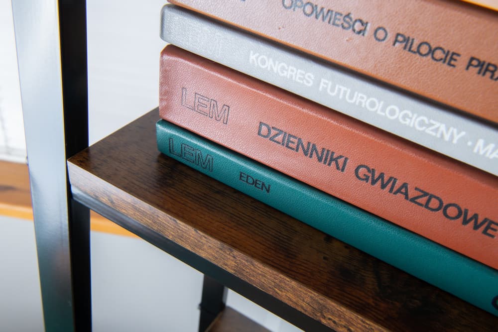 REGAŁ S - AWD Interior