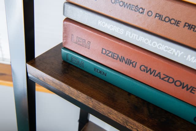 REGAŁ S - AWD Interior