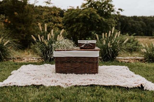 Skrzynia wiklinowa z wyściółką Koszoplotka wenge 52x36x30h