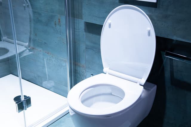 DESKA SEDESOWA PP POGO - AWD Interior