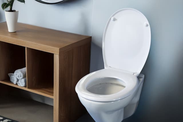 Deska sedesowa wolnoopadająca AWD INTERIOR 1999 Calmi duroplast nadruk szary bambus