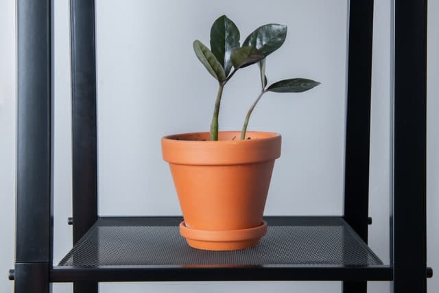 REGAŁ S - AWD Interior